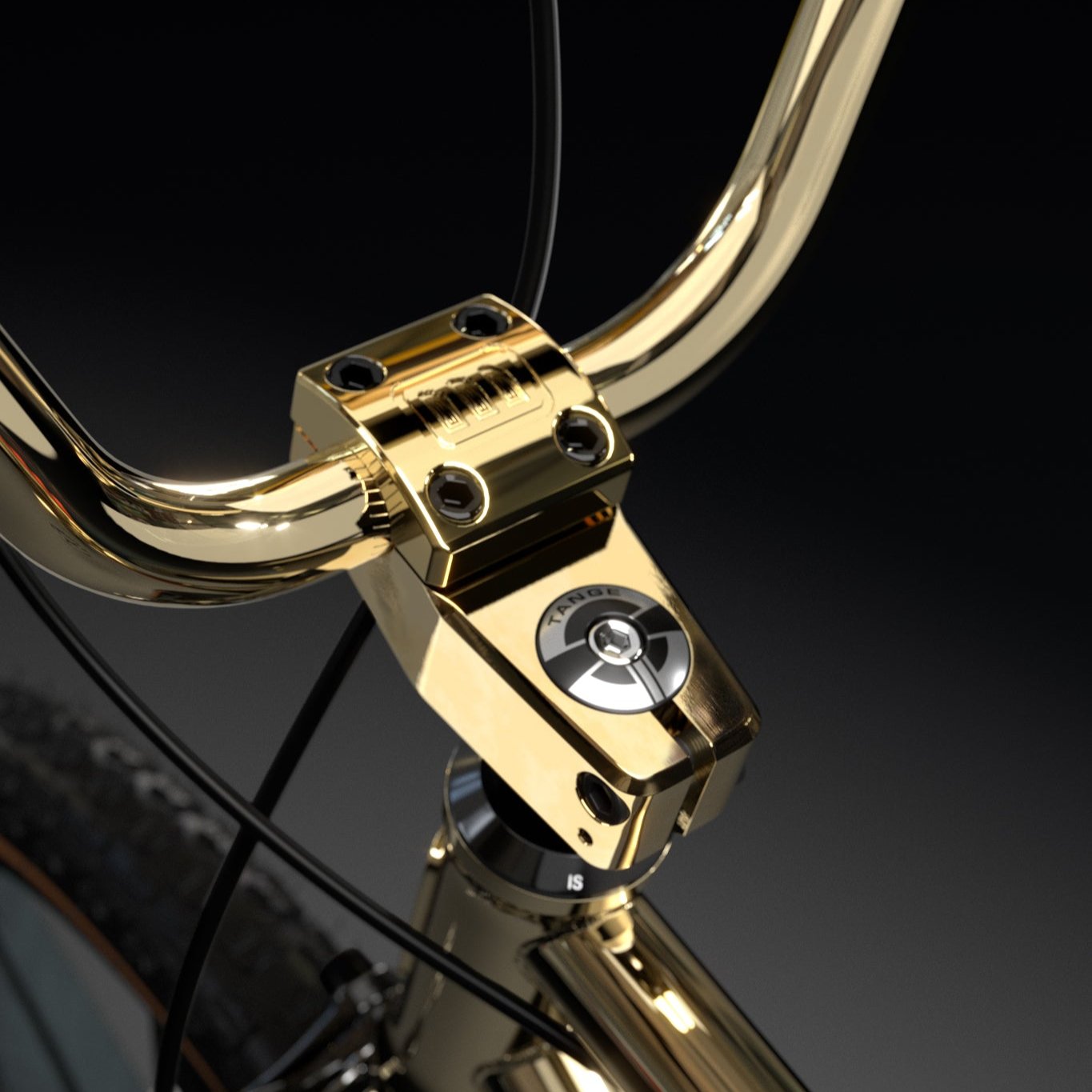 24" Monza BMX GOLD with Skyway Black